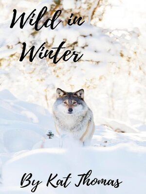 cover image of Wild in Winter
